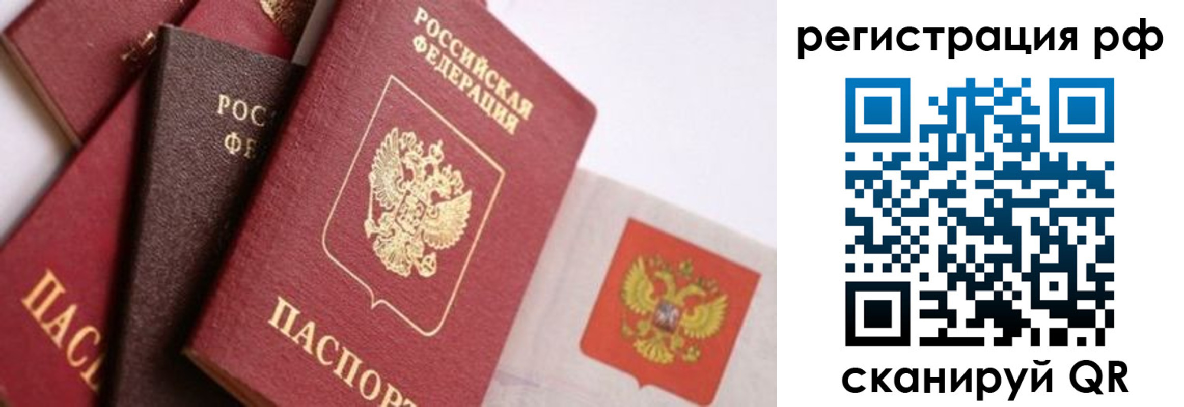 временная регистрация купить в Жукове